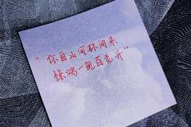 嘉黎婚姻调查：无效或者被撤销的婚姻的法律后果